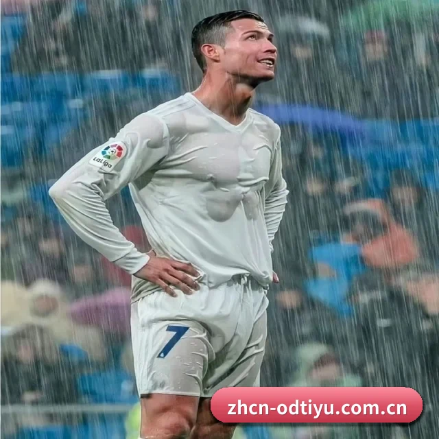 平台简介
